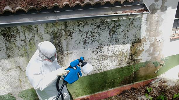 Trusted Crawl Space Mold Removal service in Brush Prairie, WA - Cheap Mold Removal